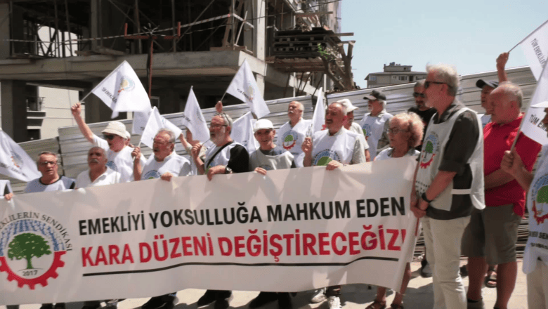 Emekli İstihdamı