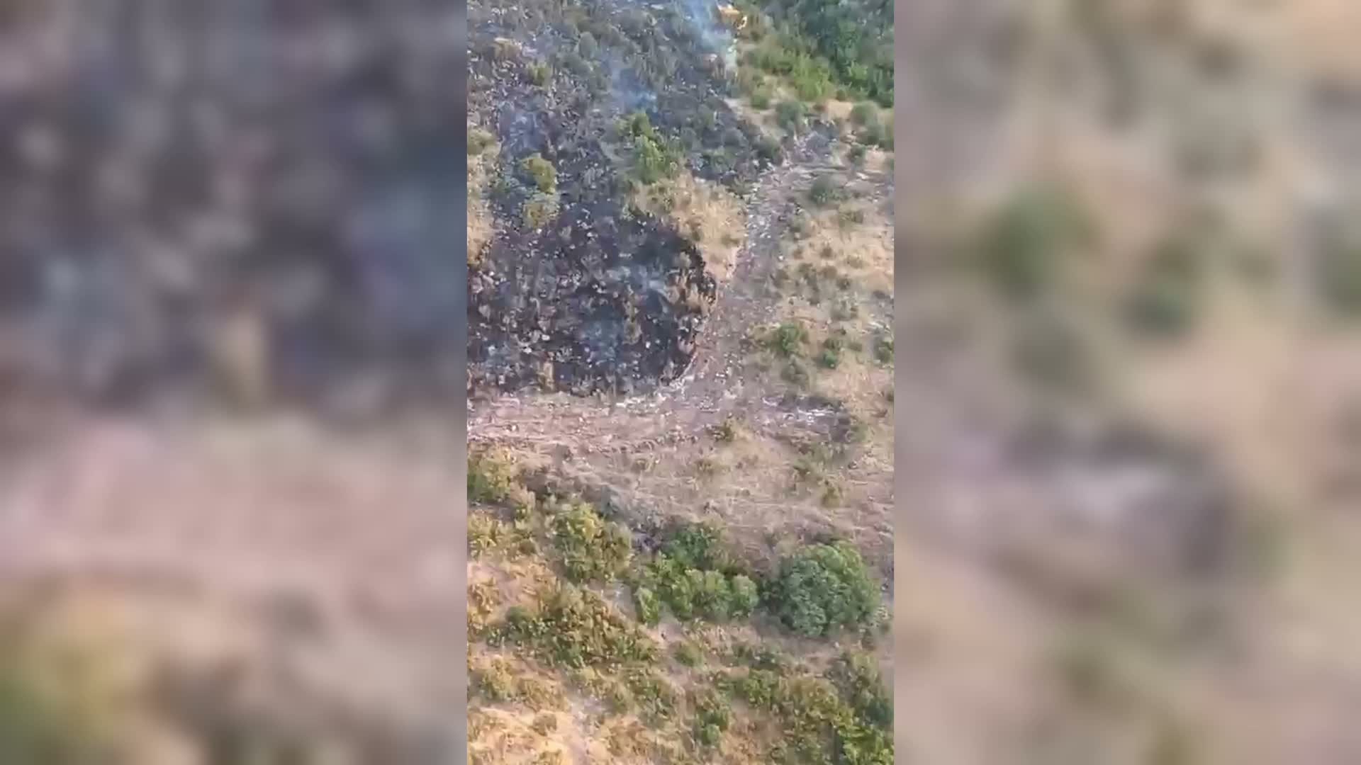 Sındırgı’da Orman