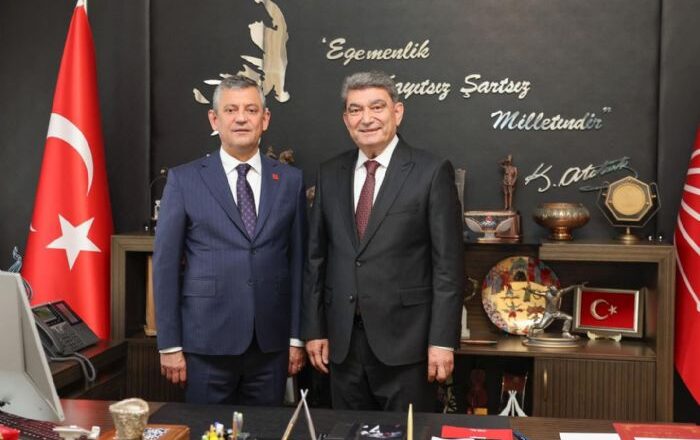 teşkilatlanma